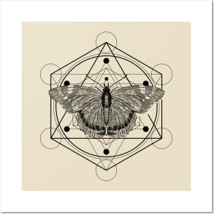 Sacred Geometry Admiral Butterfly Posters and Art